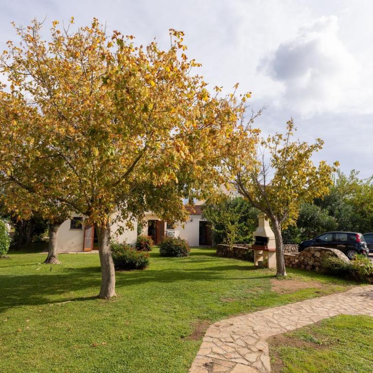 Spacious flat 300mt from the beach - Appartamento - 21