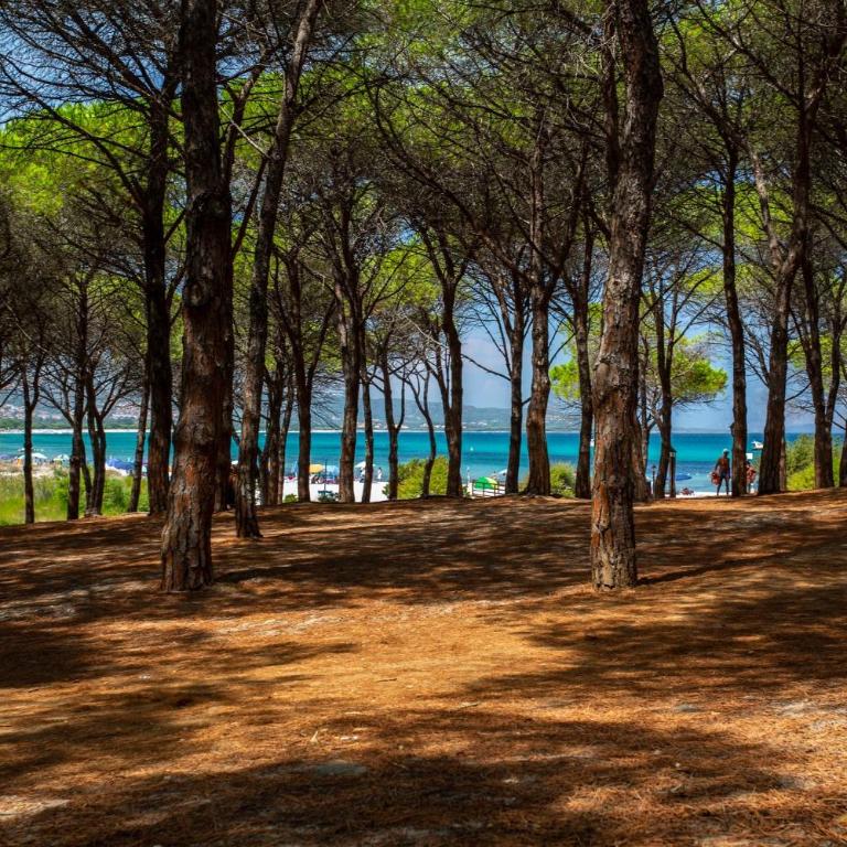 Spacious flat 300mt from the beach - Appartamento - 22