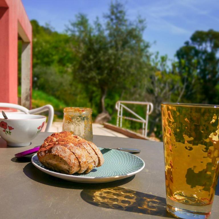 VillaCarros - Studios in Sea & Mountain Villa near Nice with Idyllic View - Appartement 1 Chambre - Vue sur Jardin - 2