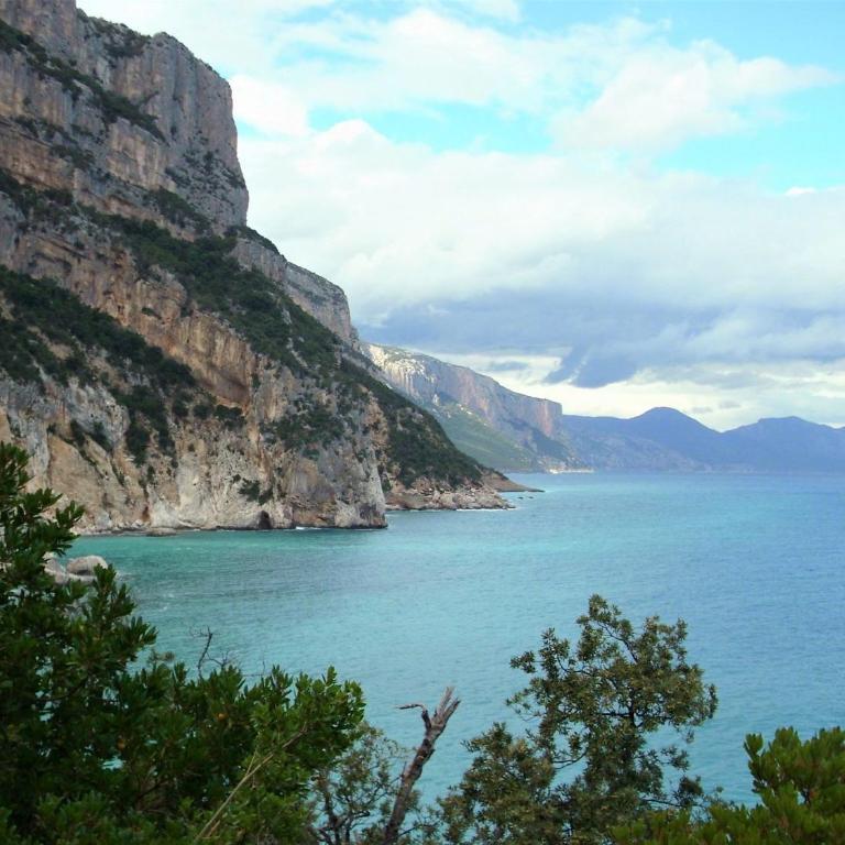 Comfy flat immersed in nature - Appartamento - 31