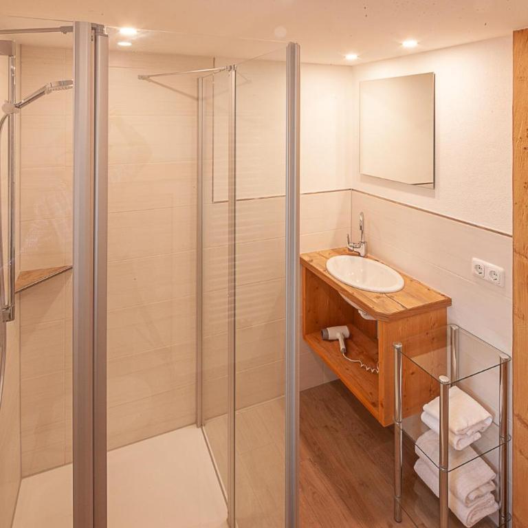 Gaisbock der DorfUrlaub - Apartment mit Dusche - 5