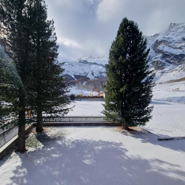 Rio ski-in, ski-out - Apartment mit 2 Schlafzimmern - 5