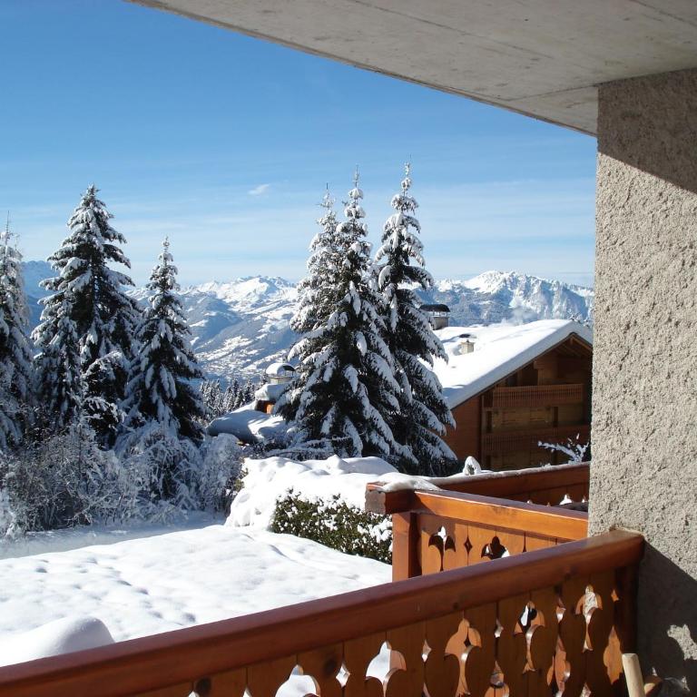 Petit Ours - Apartment mit 2 Schlafzimmern (4 Erwachsene) - 22