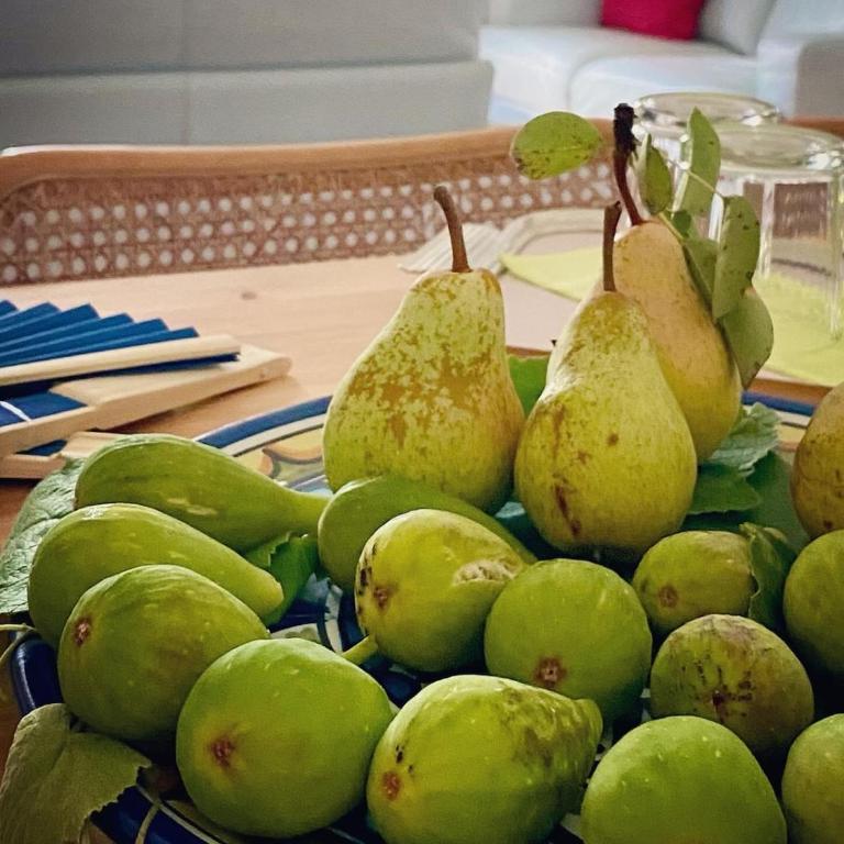 The olive tree vacation home in Colico - Appartamento con 1 Camera da Letto - 16