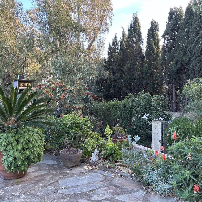 Appart 2 pièces 4 couchages BANYULS SUR MER BN130-B25 - One-Bedroom Apartment with Sea View - 21