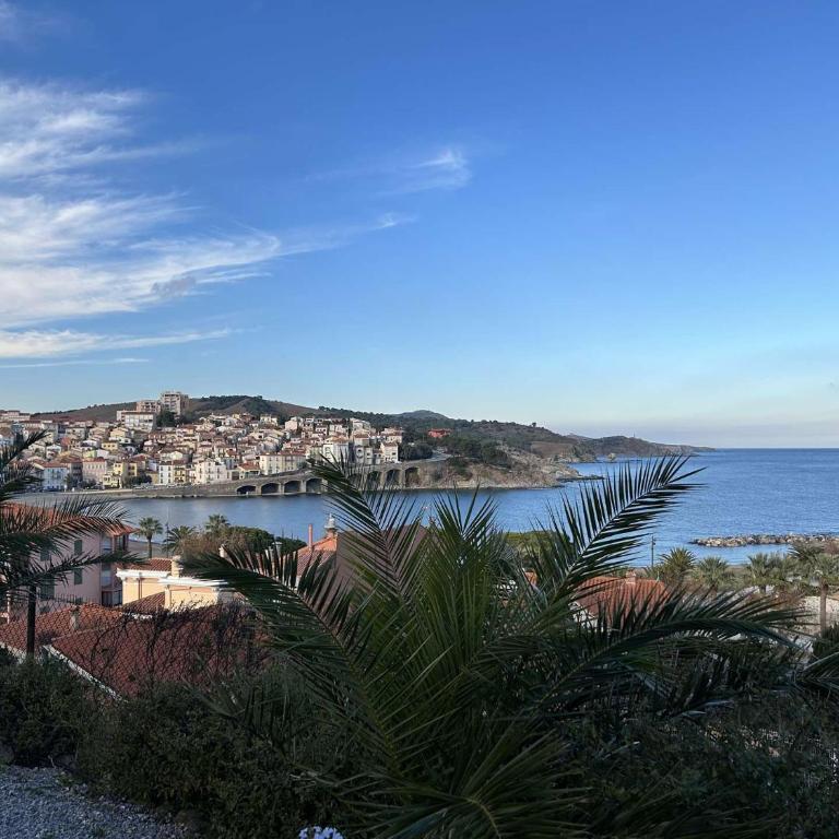 Appart 2 pièces 4 couchages BANYULS SUR MER BN130-B25 - One-Bedroom Apartment with Sea View - 22