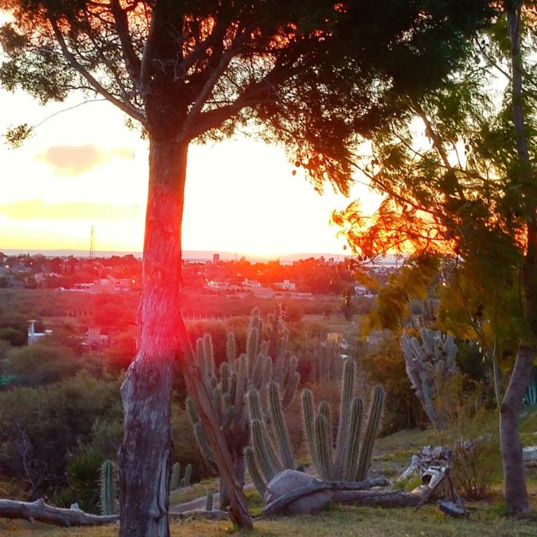 Cabañas Altos del Velazco - Casa - 17