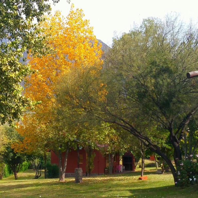 Cabañas Altos del Velazco - Casa - 46