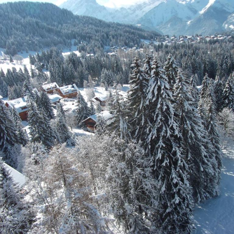 Petit Ours - Apartment mit 2 Schlafzimmern (4 Erwachsene) - 30