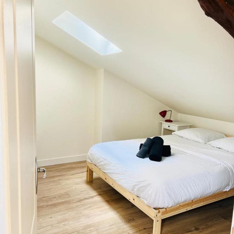 T2 Lumineux hyper centre - Appartement 1 Chambre - 13