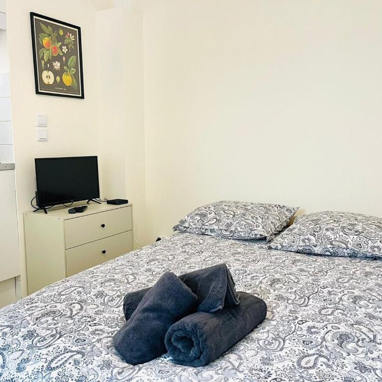 Le petit meublé hyper Centre - Appartamento con 1 Camera da Letto - 8