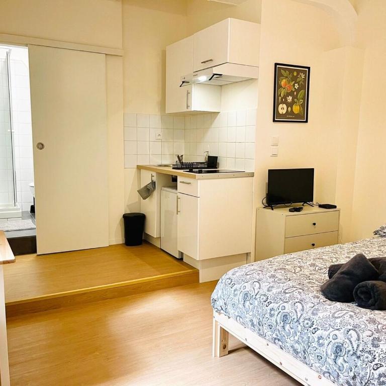 Le petit meublé hyper Centre - Appartamento con 1 Camera da Letto - 14