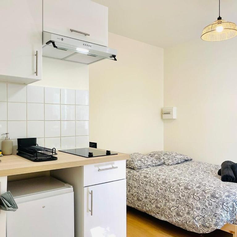 Le petit meublé hyper Centre - Appartamento con 1 Camera da Letto - 12