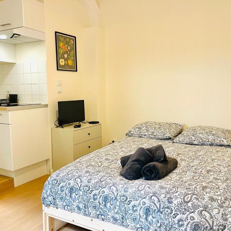 Le petit meublé hyper Centre - Appartamento con 1 Camera da Letto - 5