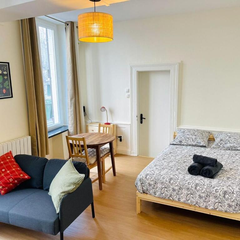Studio Charretiers, centre ville - One-Bedroom Apartment - 14