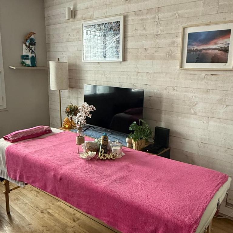 Parenthèse nantaise, T2 chic et cosy, avec parking - Appartement 1 Chambre - 25
