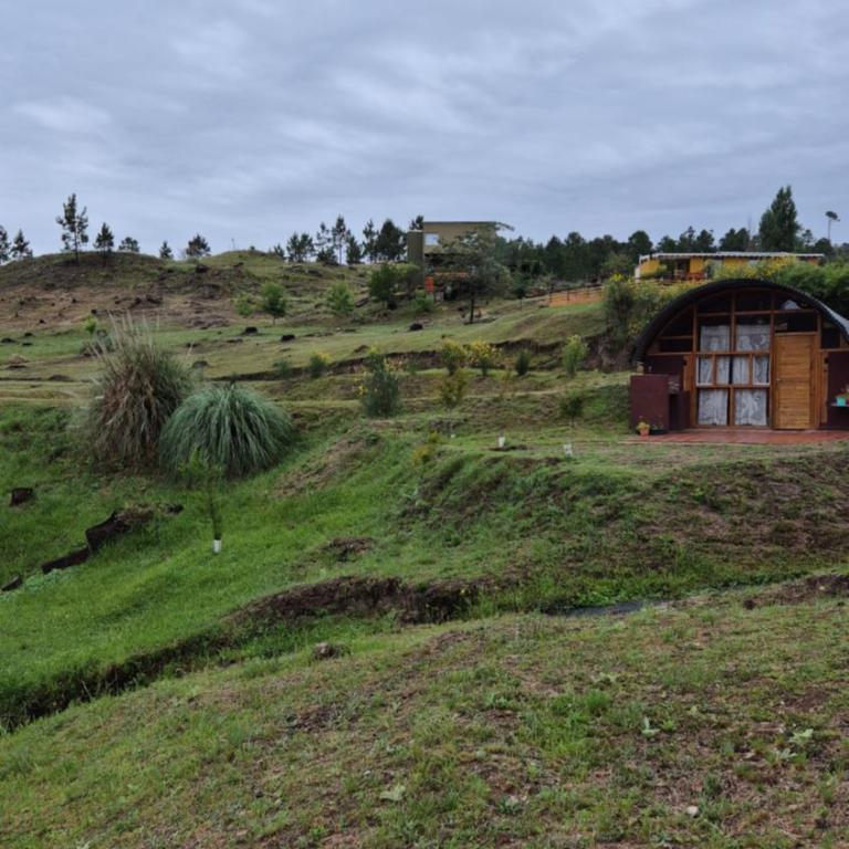 La Insolente - Chalet de 1 dormitorio - 4