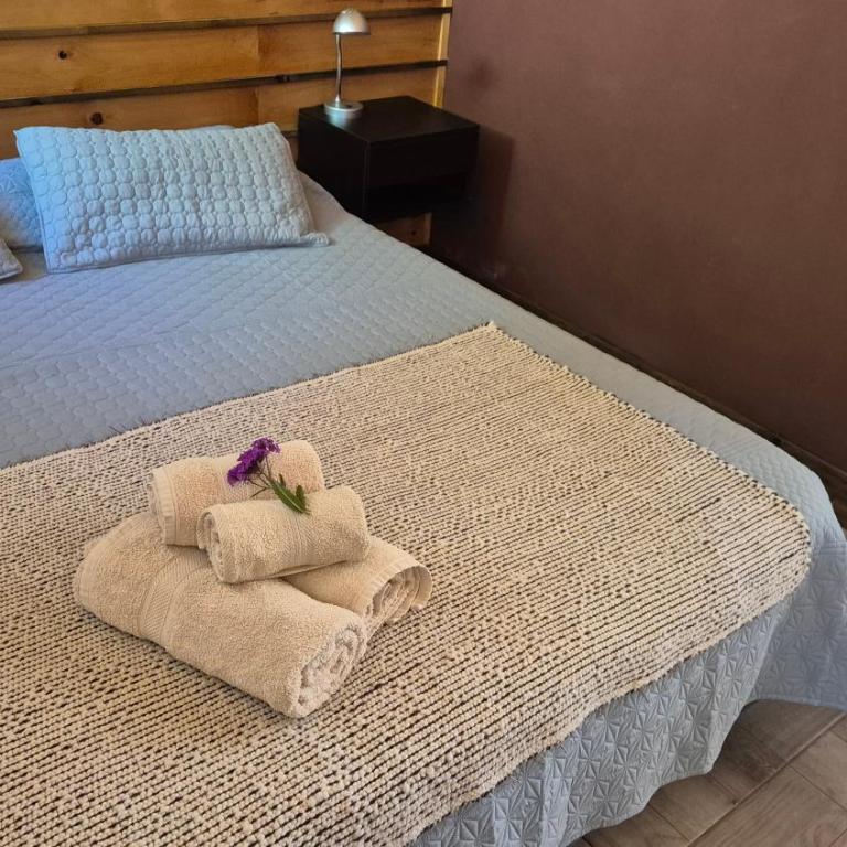 La Insolente - Chalet de 1 dormitorio - 8