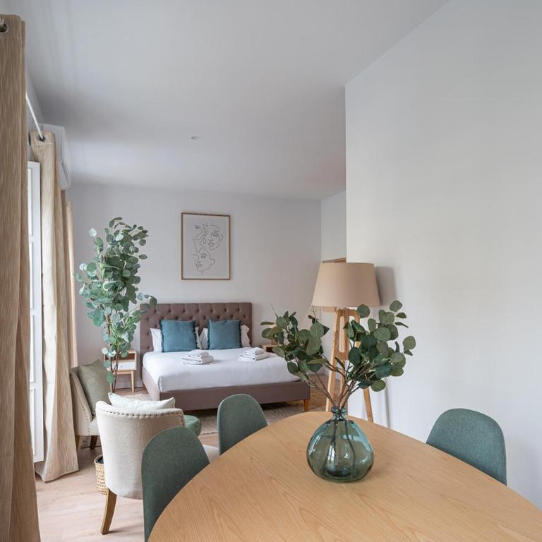 Cituspace Tirso de Molina - Apartamento Estudio - 1 cama doble - 2