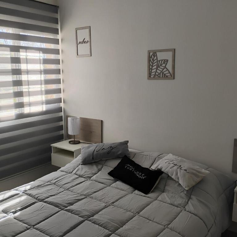 Downtown apartment in Godoy Cruz - Apartamento de 2 dormitorios - 24