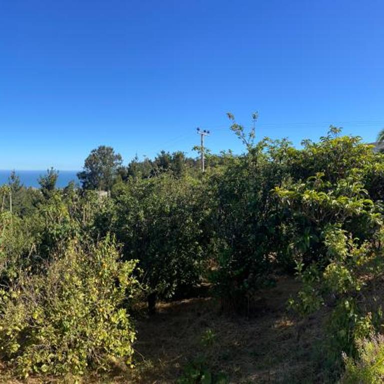 Casacerrolacruz - Three-Bedroom House - 7