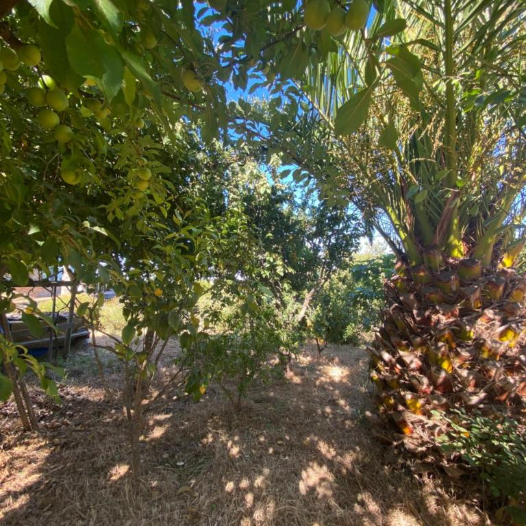 Casacerrolacruz - Three-Bedroom House - 3