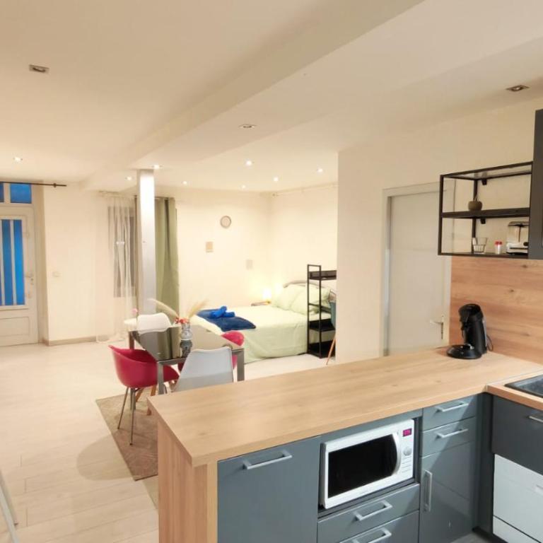 Cosy Camélia - T1 - Hypercentre avec Patio - Appartement 1 Chambre - 8
