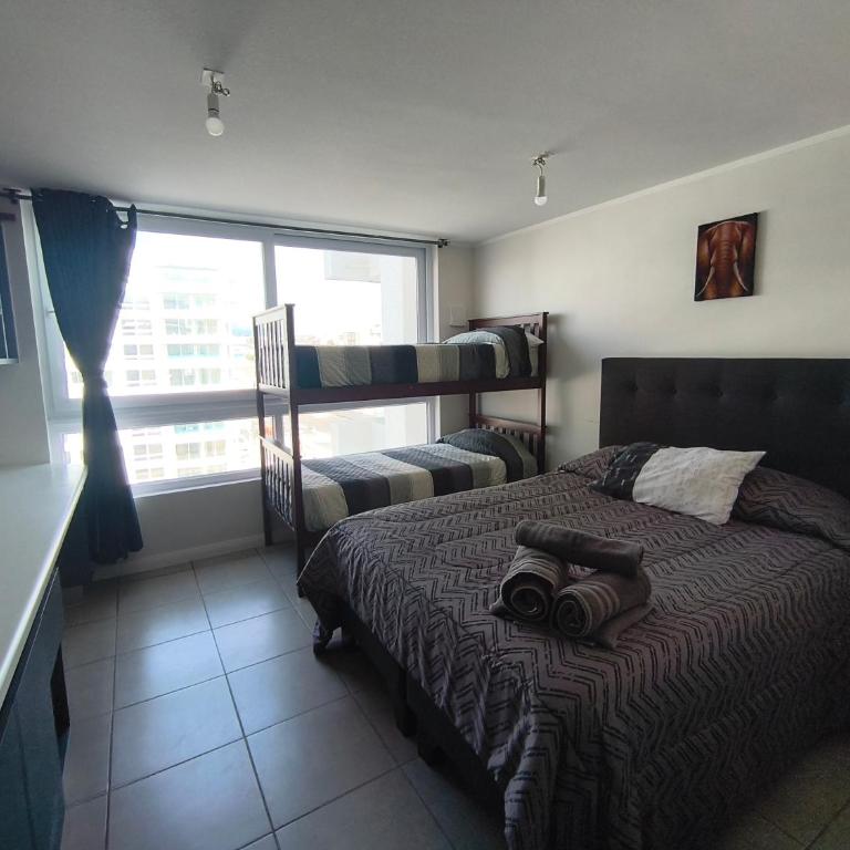 Oceana Suites Puerto Serena - One-Bedroom Apartment - 1