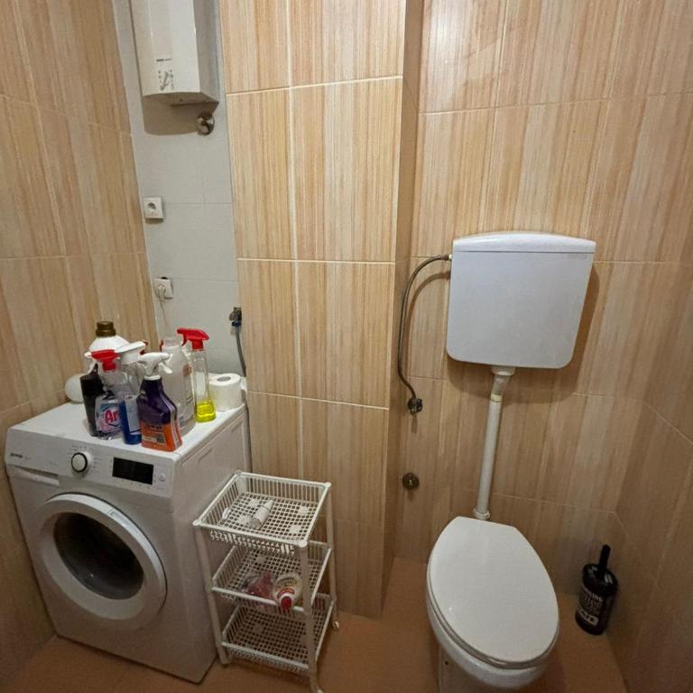 Botanical Garden - One-Bedroom Apartment - 6