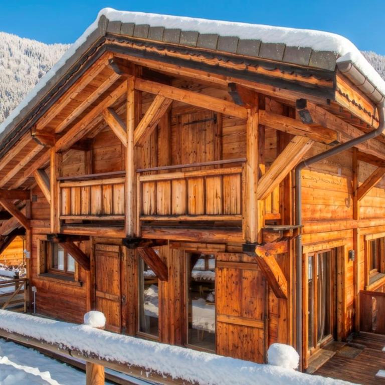CHALET NEUF -SAINT JEAN D'AULPS STATION 12 PERSONNES - CIMES C6 - Chalet - 29