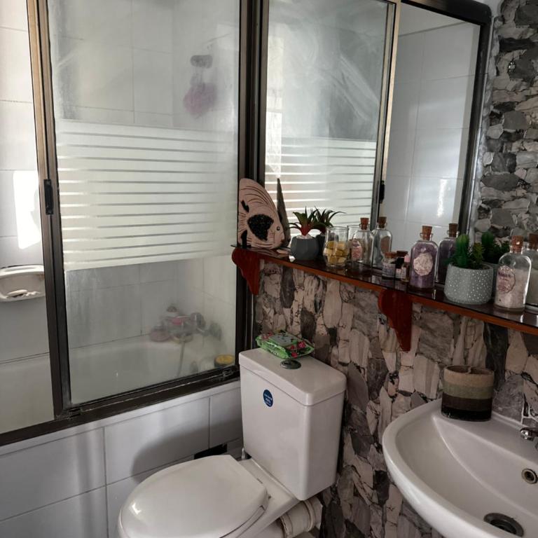 Tarde Premium - Apartamento de 3 dormitorios - 7