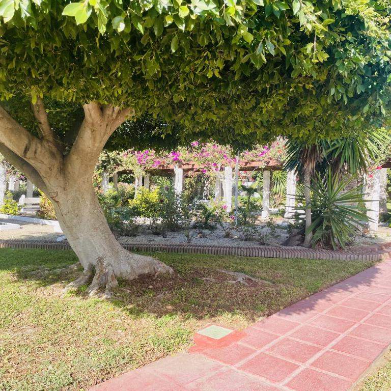 Alma de Laguna Beach Torrox Costa - Apartamento con vistas - 52
