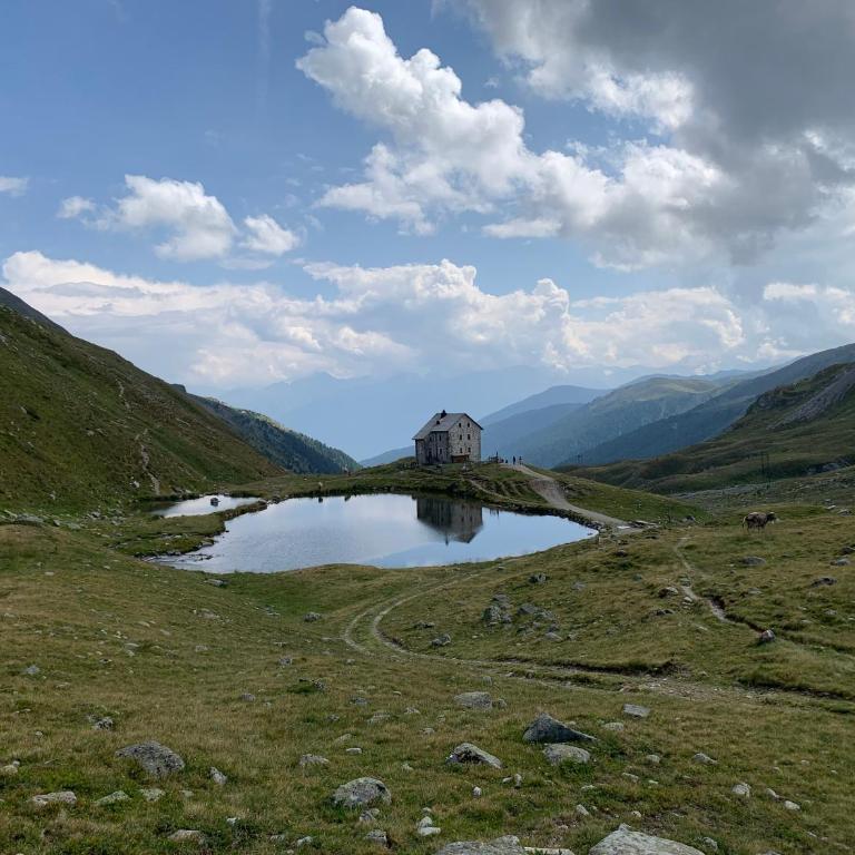 Mooshof - Farm apartment for families, motorcyclists, hikers & cyclists in Stelvio National Park - Appartamento con 3 Camere da Letto - 39