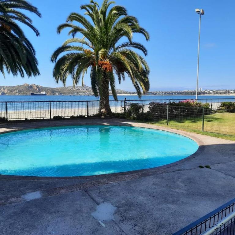 Beachfront apartment la Herradura chile - Three-Bedroom Apartment - 5