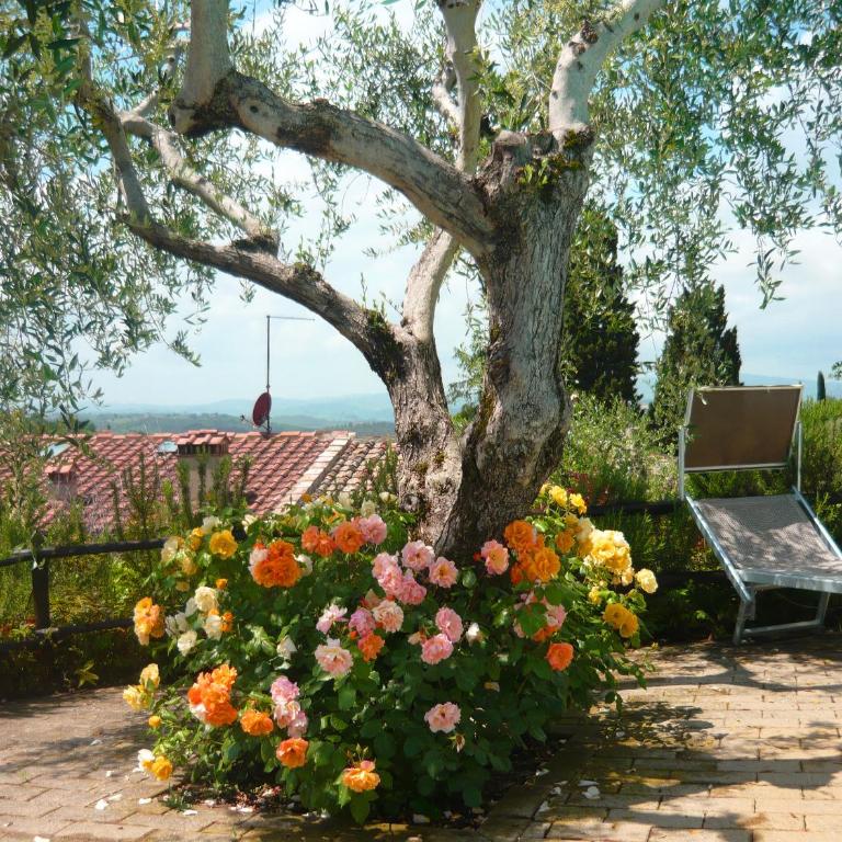 Podere Oliveta - 5 appartamenti con Piscina e Vista - Appartamento con 1 Camera da Letto - 22
