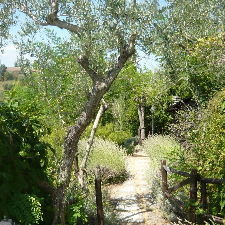 Podere Oliveta - 5 appartamenti con Piscina e Vista - Appartamento con 2 Camere da Letto - 25