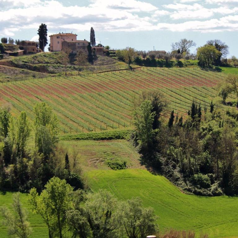 Podere Oliveta - 5 appartamenti con Piscina e Vista - Appartamento con 1 Camera da Letto - 31
