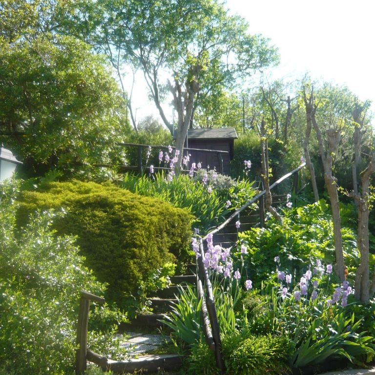Podere Oliveta - 5 appartamenti con Piscina e Vista - Appartamento con 1 Camera da Letto - 34