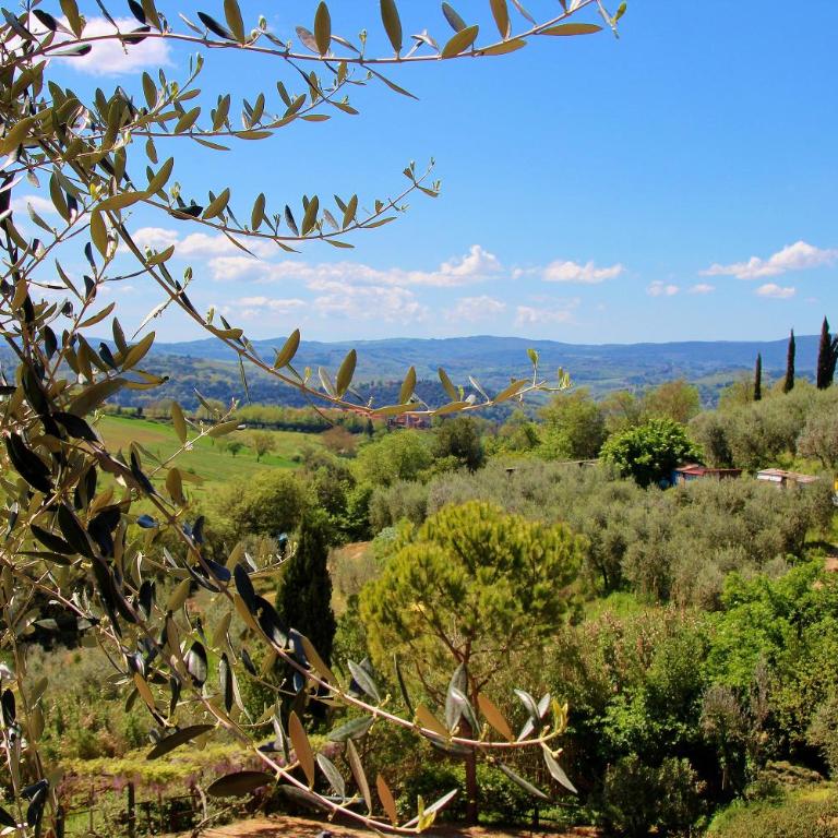 Podere Oliveta - 5 appartamenti con Piscina e Vista - Appartamento con 2 Camere da Letto - 37