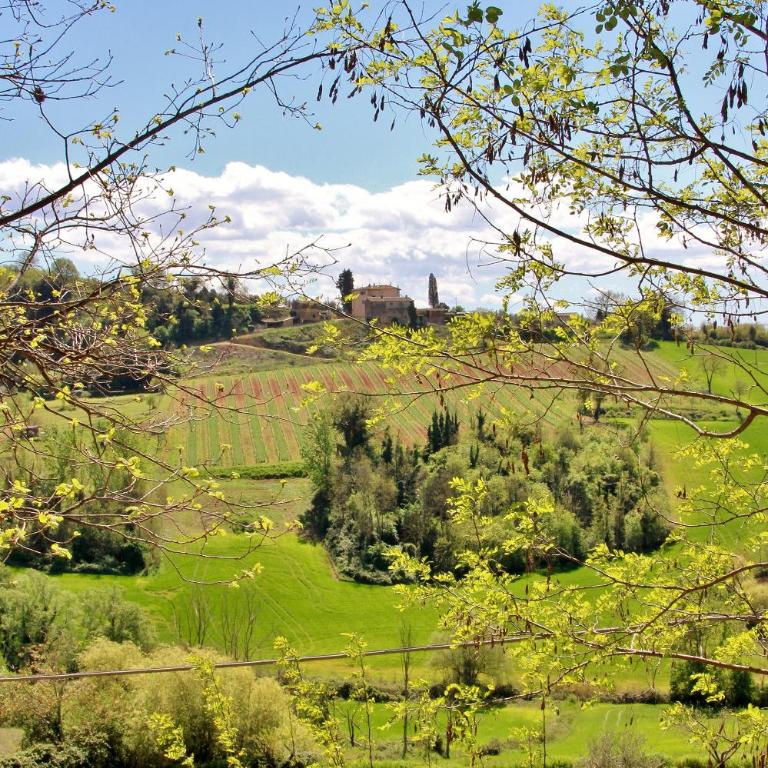 Podere Oliveta - 5 appartamenti con Piscina e Vista - Appartamento con 2 Camere da Letto - 38