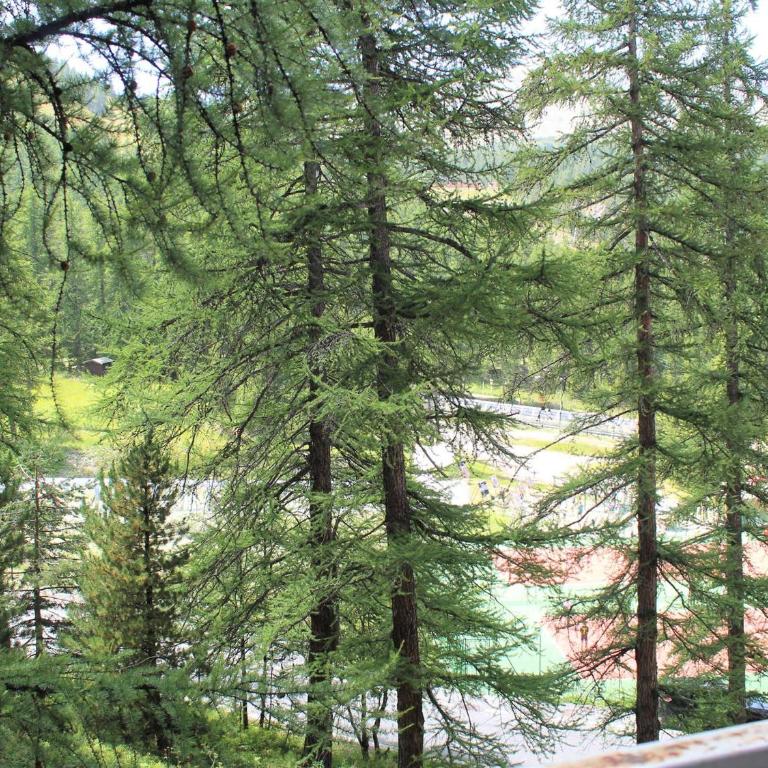 Studio Montagne Vars 4 Pers, 30m des Pistes, Proche Commerces, Tout Confort - FR-1-330B-65 - Appartement (4 Adultes) - 14