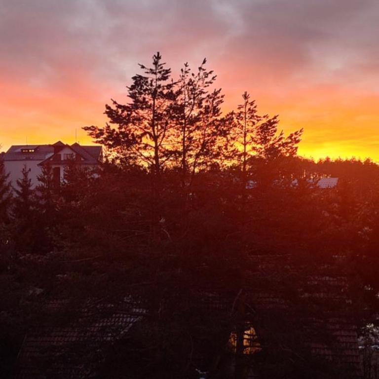 Silver Star Zlatibor - Apartman sa 1 Spavaćom Sobom - 64