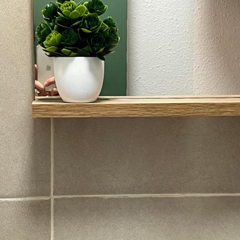 Studio lumineux à Prapoutel, Les 7 Laux, Alpes - Appartement 1 Chambre - 7