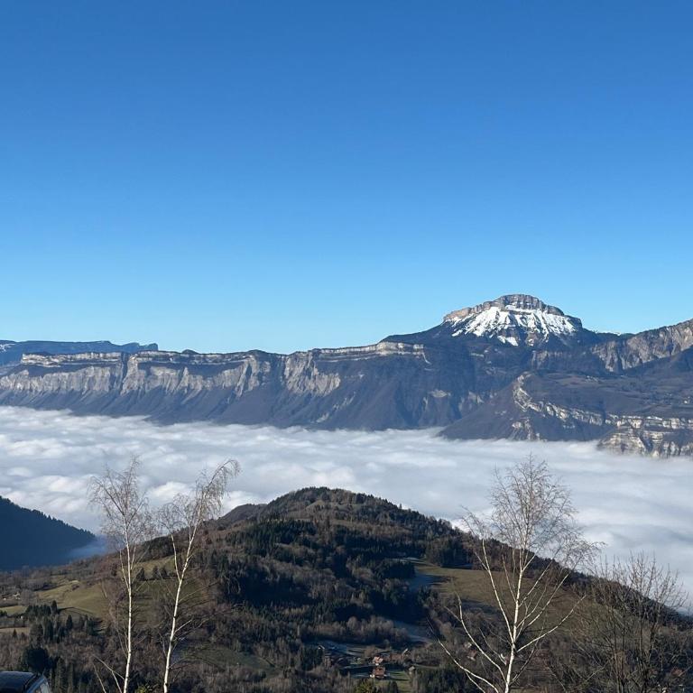 Studio lumineux à Prapoutel, Les 7 Laux, Alpes - Appartement 1 Chambre - 9