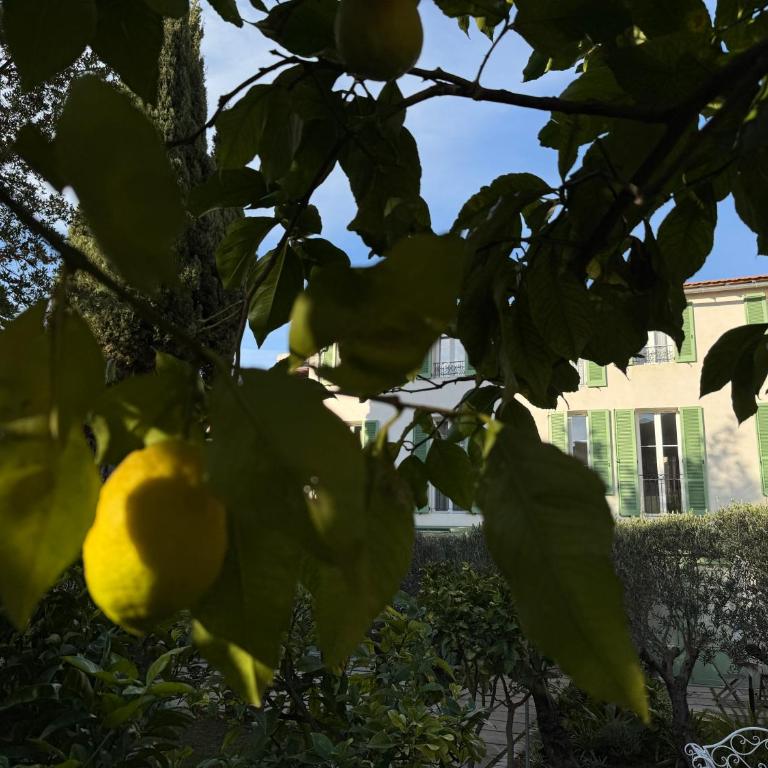 Old town-Exceptional Apartment-in absolute calm - Appartement 2 Chambres - Vue sur Jardin - 29
