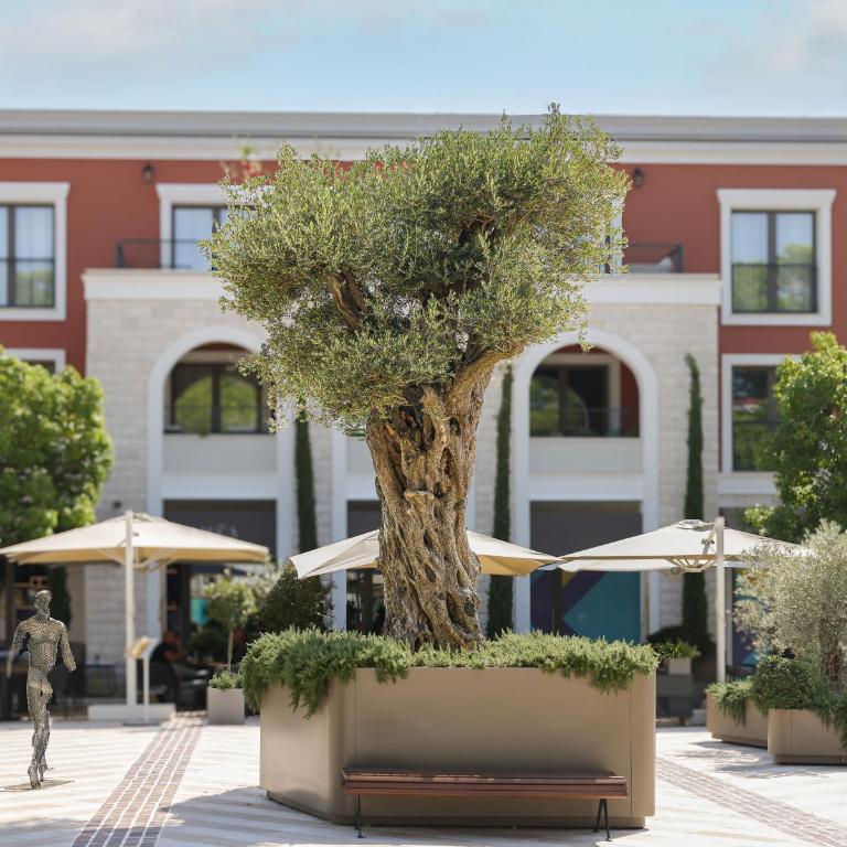 Centrale Contemporary Apartment With Direct Pool Access - One-Bedroom Apartment with Terrace - 16