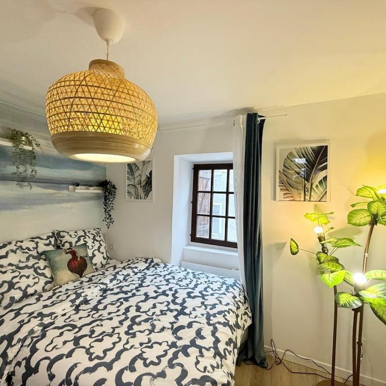 Cosy Azur - 4pers Place Verdun - Studio - 4