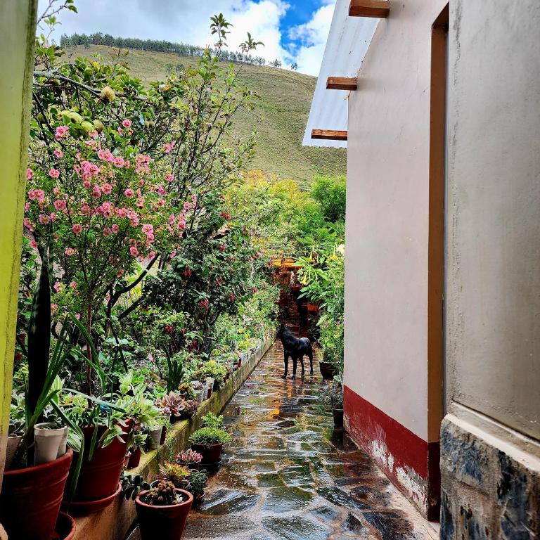 Bambú Lodge - Habitación Doble - 19