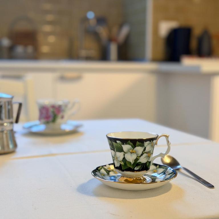 The Quiet Garden at San Giovanni - One-Bedroom Apartment with Garden - 24