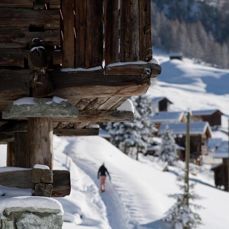 Les mayens de la Forclaz - One-Bedroom Chalet - 2